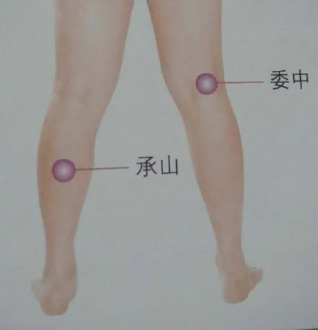 一文读懂人体最重要 12 大穴位,养生保健全攻略!插图12 一文读懂人体最重要 12 大穴位,养生保健全攻略!插图12