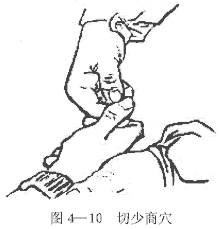 一文读懂人体最重要 12 大穴位,养生保健全攻略!插图1 一文读懂人体最重要 12 大穴位,养生保健全攻略!插图1