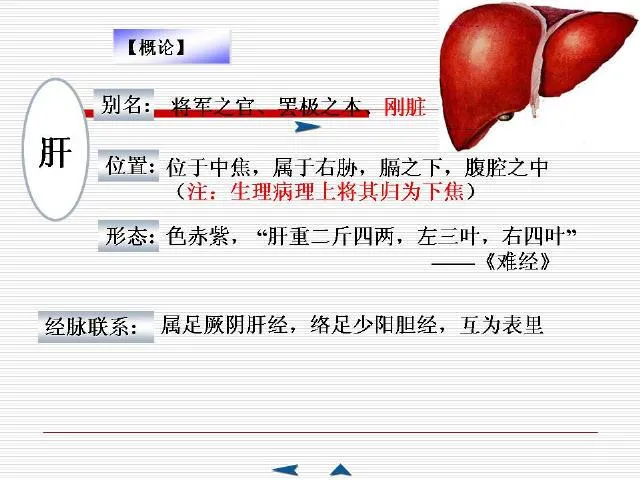中医基础理论大全，赶紧收藏吧！插图40