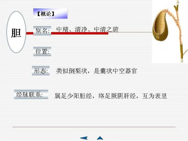 中医基础理论大全，赶紧收藏吧！插图45
