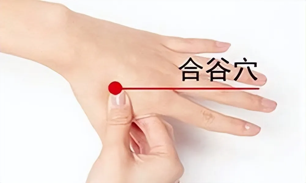 必知！人体十大关键穴位，守护健康的秘密武器插图2