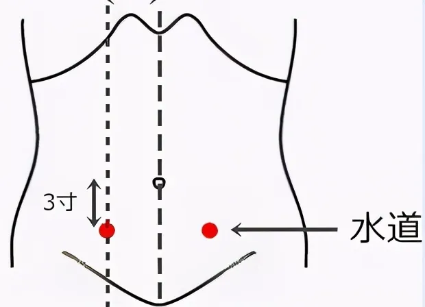 30 个超级有效穴位大集合：病症对应、取穴方法与按摩诀窍全知晓！插图22