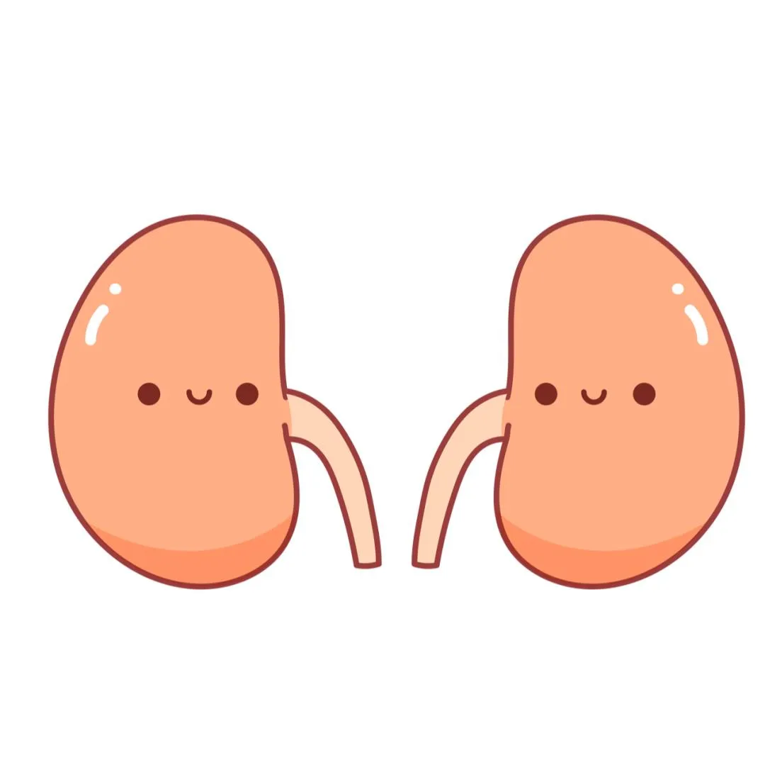 从《内经》探析风邪理论插图3