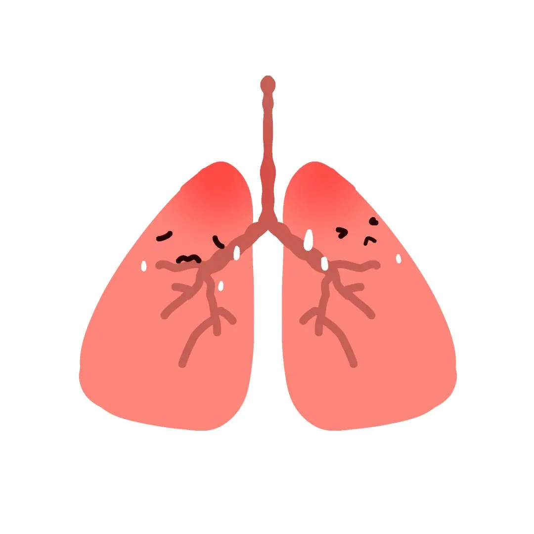 从《内经》探析风邪理论插图