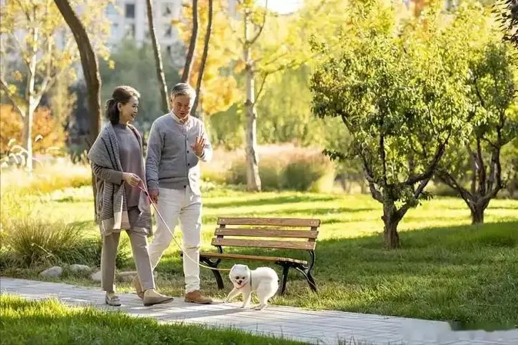 冬季冠心病防护：避开这些高危行为，守护心血管健康插图4