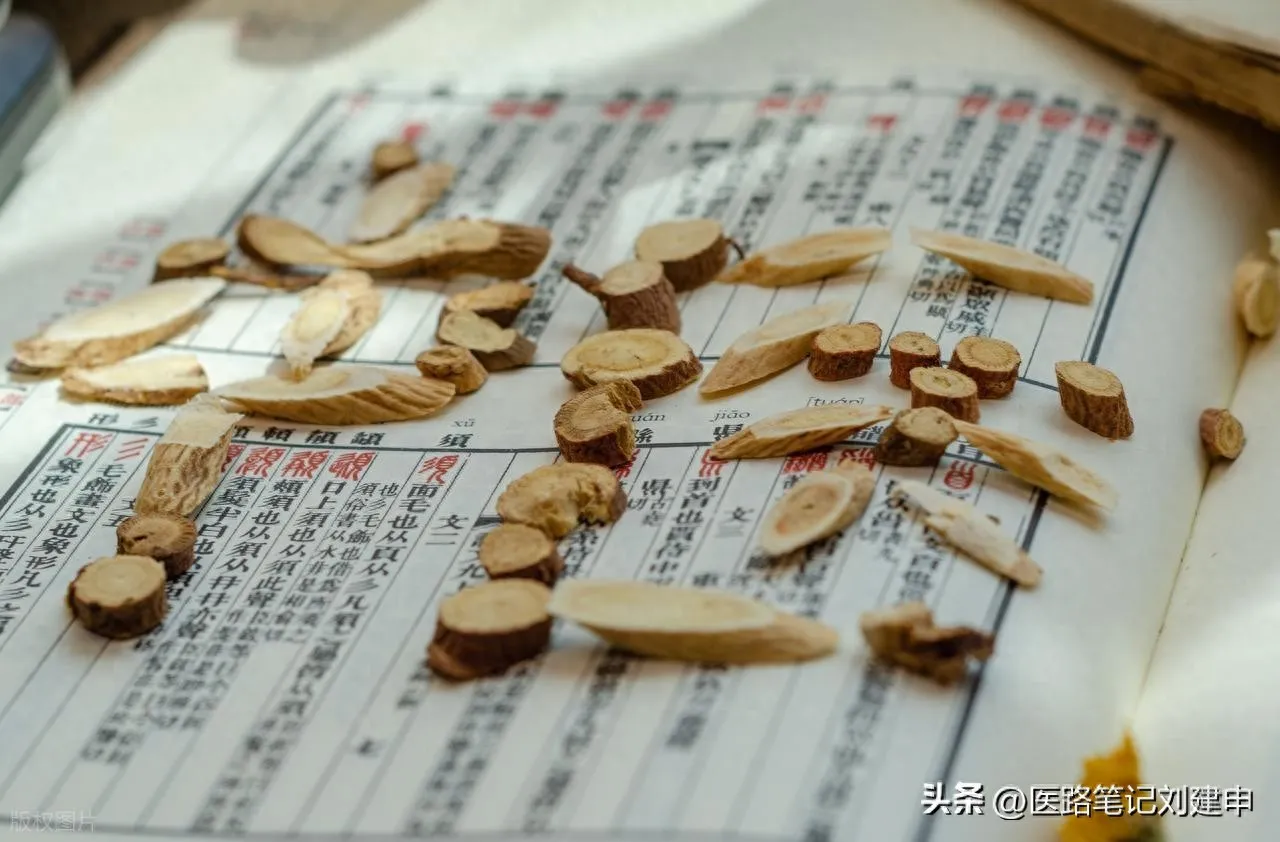 脑鸣的辨证论治插图