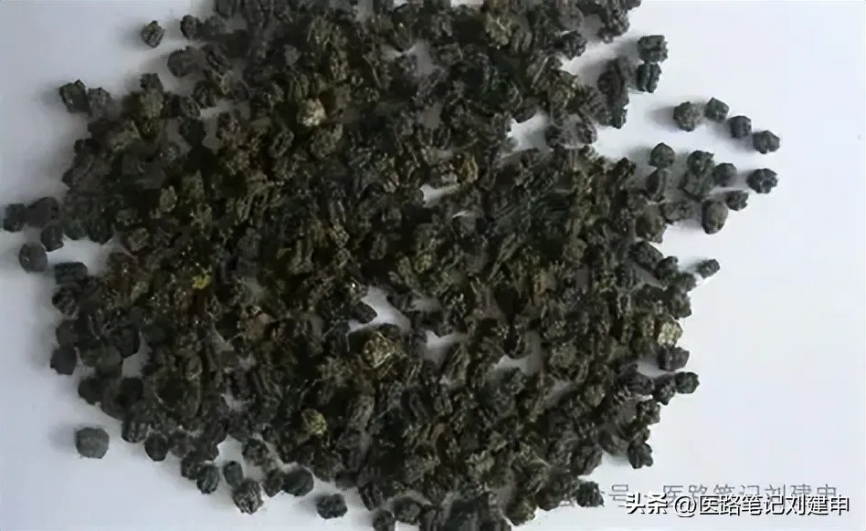 奇奇怪怪的中药——十个粪便药插图3