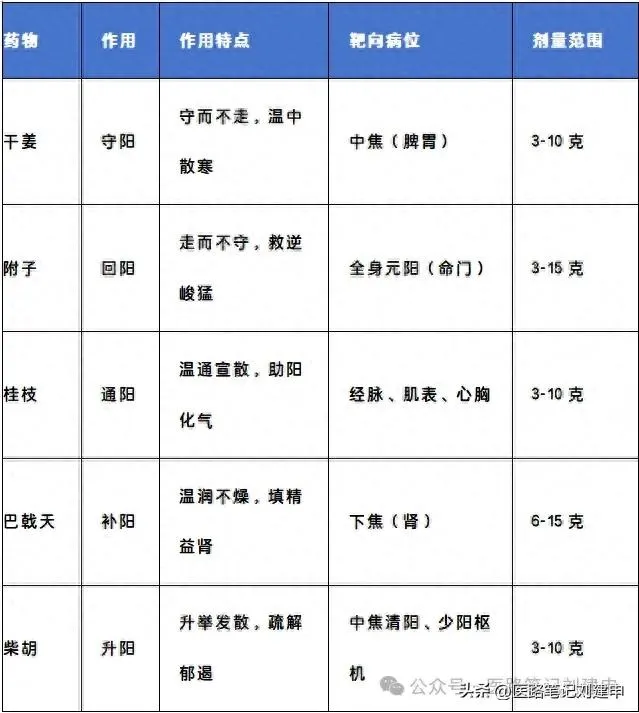 守阳用干姜，回阳用附子，通阳用桂枝，补阳用巴戟天，升阳用柴胡插图