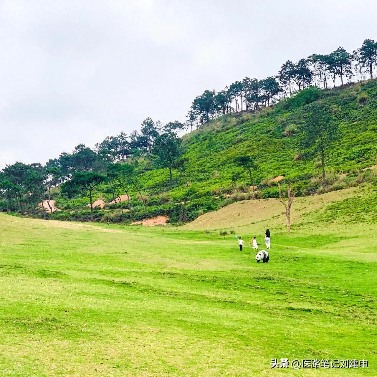 治疗手脚麻木的好办法插图