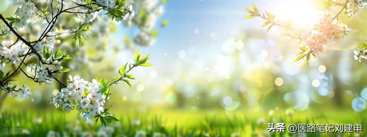 眼干眼涩要养肝，小腿抽筋要养肝，脱发要养肝，睡眠不好要养肝插图