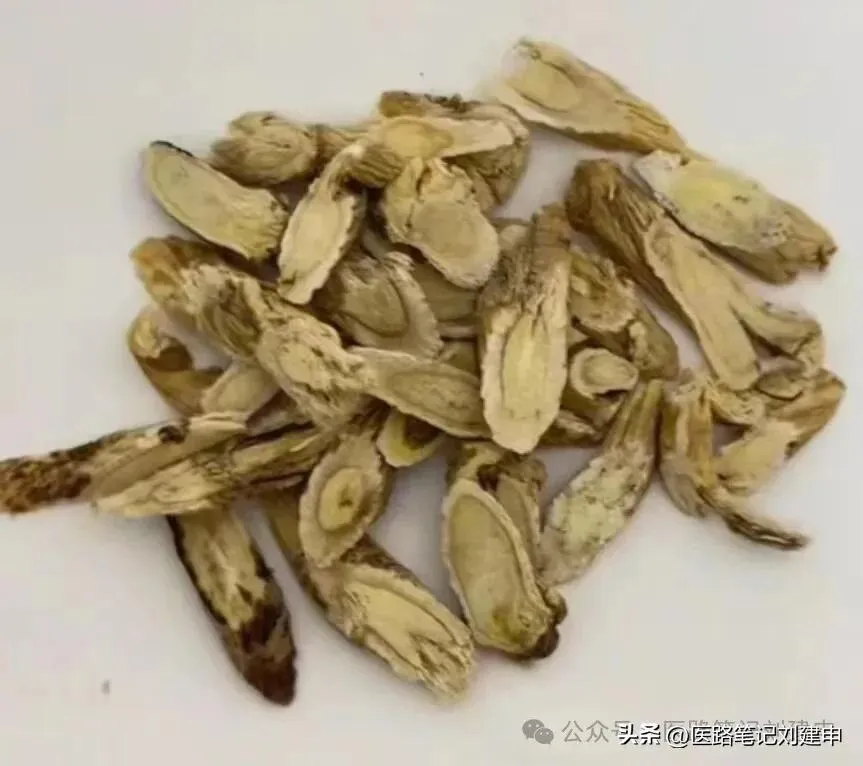 8类黄芪的选择及真黄芪的10种搭配。插图4