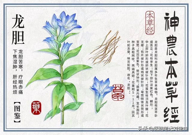 大多数医生都会忽略龙胆泻肝丸的一个作用插图1