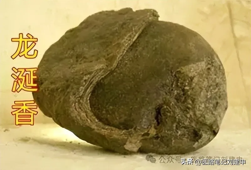 奇奇怪怪的中药——十个粪便药插图5