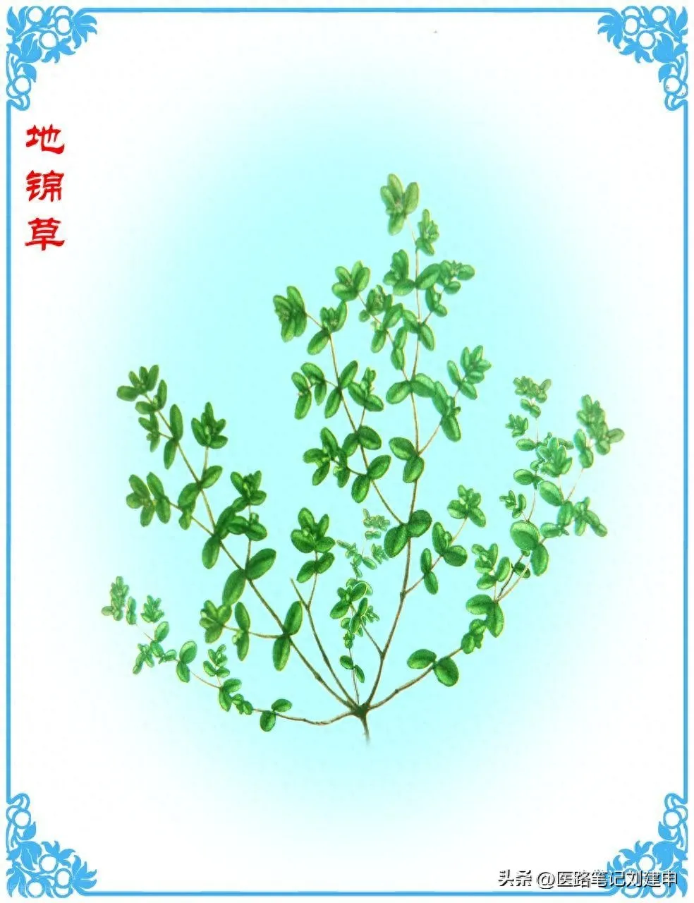 医院不让开的小方，三十多个方只有3味药，因为开方小曾被约谈。插图