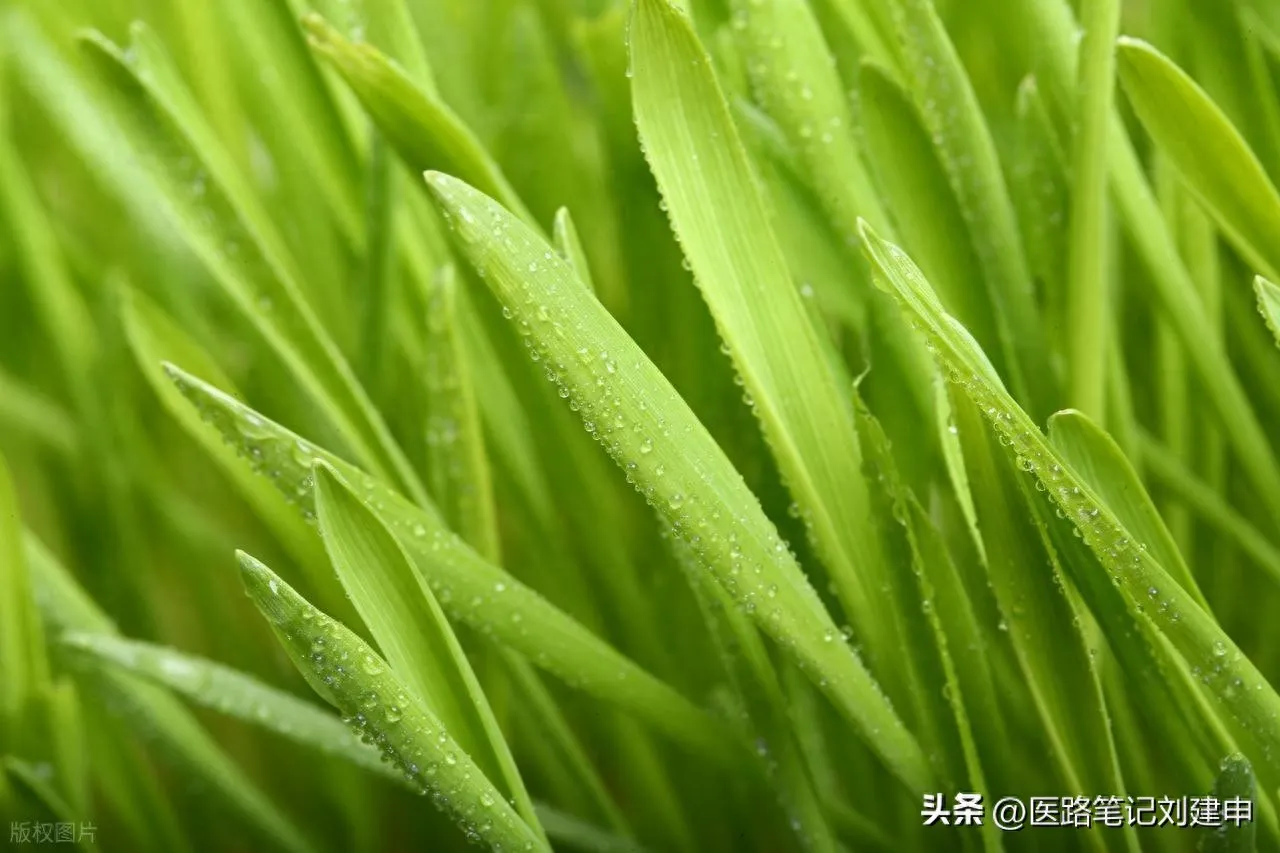 18个小方的妙用。插图