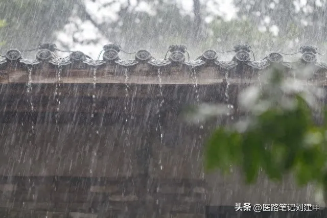 湿气形成的根本原因竟然不是脾虚插图