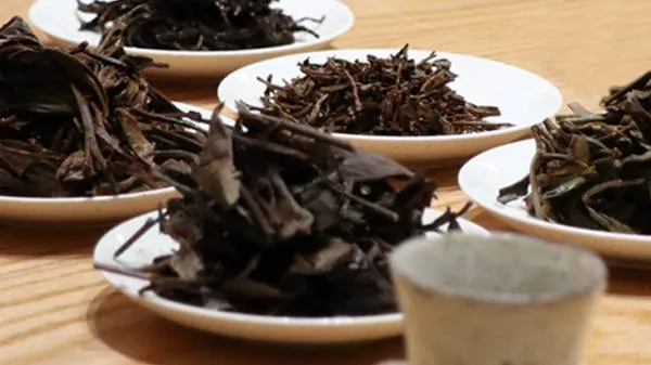 茶叶可以除冰箱异味吗插图1