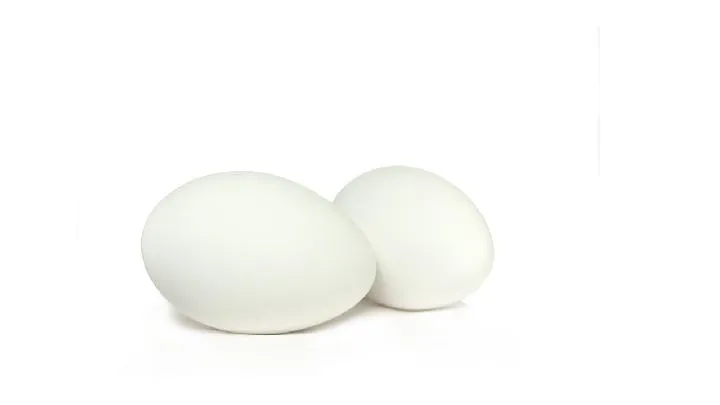 蛋白粉对人体的作用和功能是什么插图1