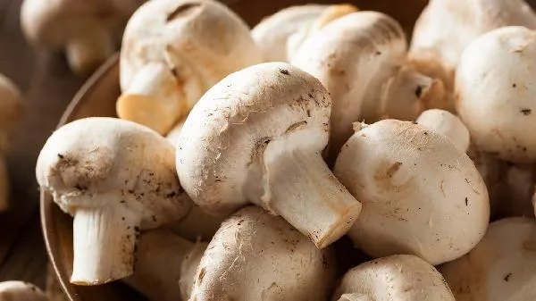 香菇黑了还能吃吗没发霉插图1