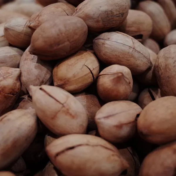 香榧坚果是什么味道插图1