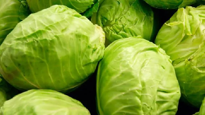 那些食物补钙效果好？孕妇如何正确补钙？插图