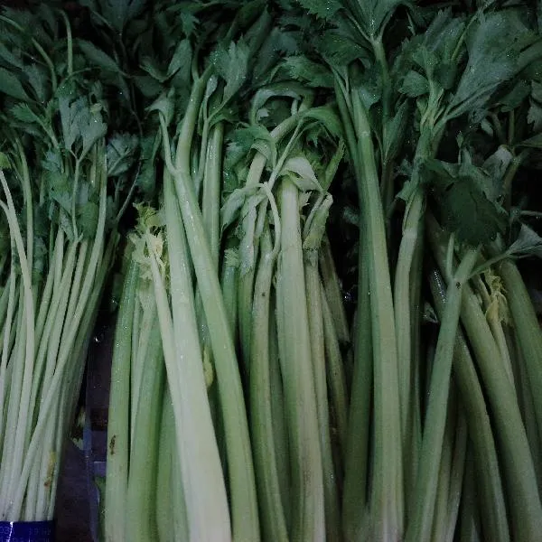 苹果苦瓜芹菜能一起榨汁吗插图