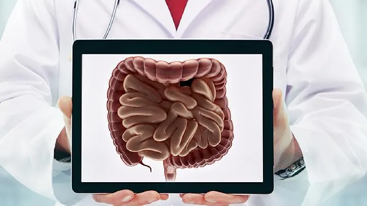 益生菌的正确吃法插图1