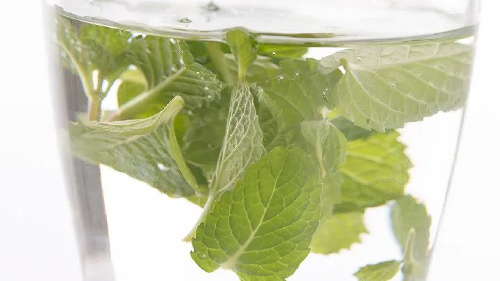 薄荷叶三种人不宜吃插图