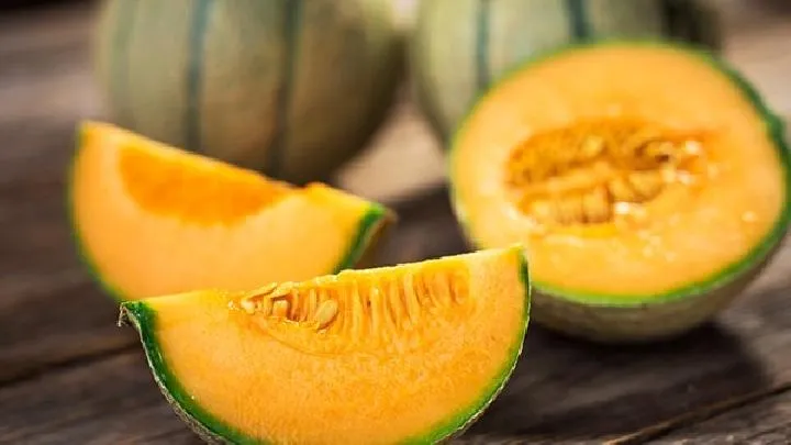 秋季多喝茶有好处？推荐这4种茶最适合养肺护肝又养生！插图1