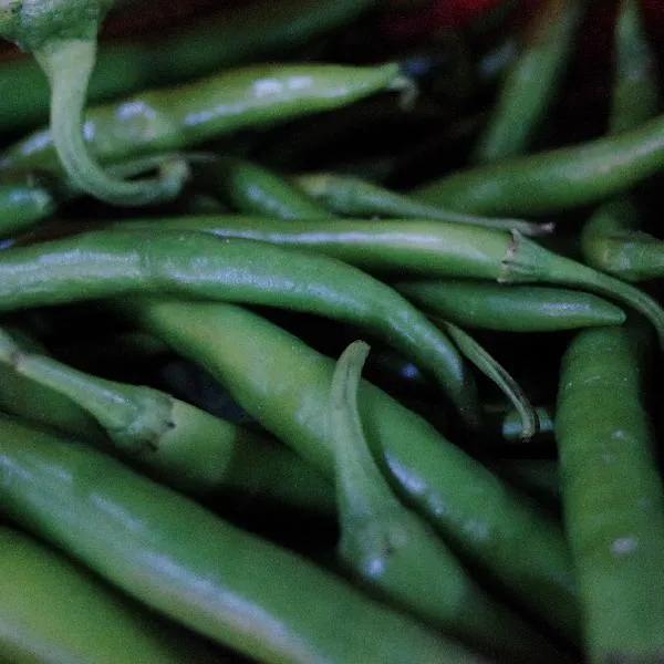 辣椒如何保存得最好插图2