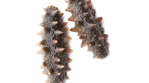 胃胀肉皮痛什么原因插图