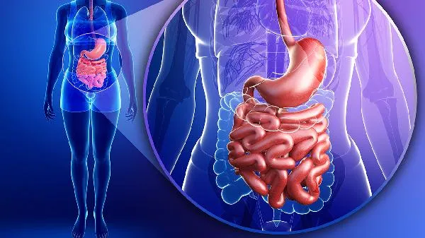 食道反流烧心吃什么插图