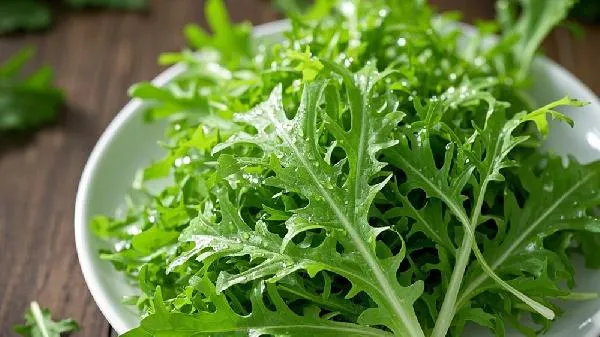 野生苦菜长什么样插图1