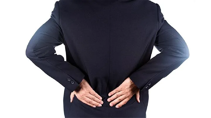 鸡腰子的功效与作用是什么插图1