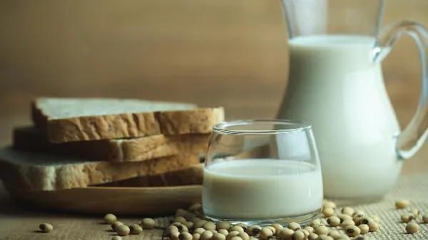 豆浆剩下的豆渣有用吗插图1