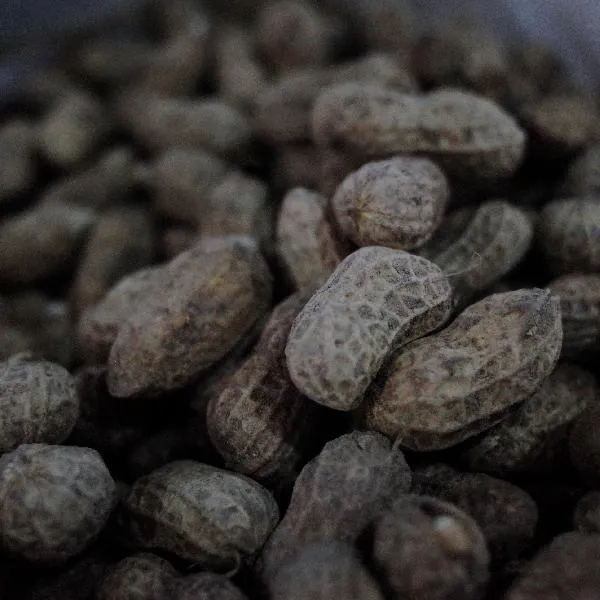 花生和薯片哪个热量高插图1