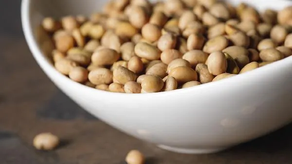 黄豆打过豆浆后的渣怎么吃插图