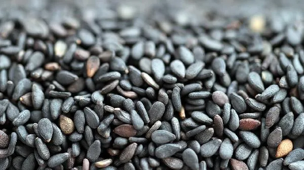 高油高脂高糖是指哪类食物呢插图