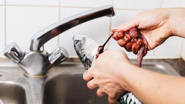 鲷鱼10种最佳吃法插图1