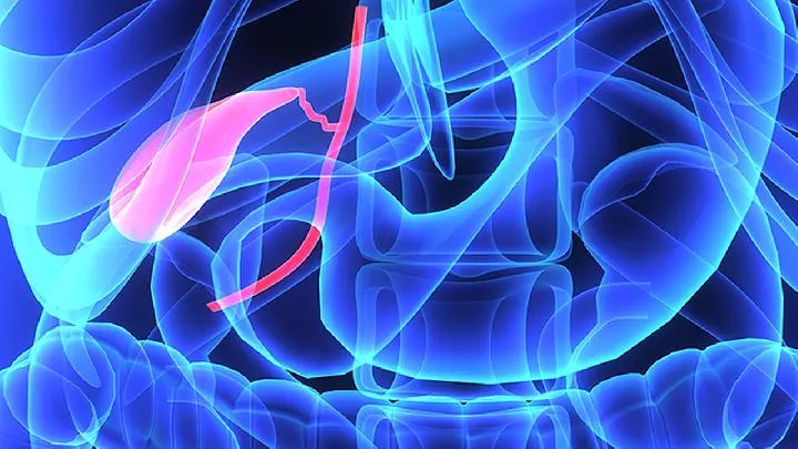 龙胆泻肝丸的功效、主治插图