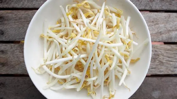 豆芽的芽是根还是茎插图2