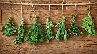 健身选择什么饮食方式适合 健身饮食跟选择的项目有关插图