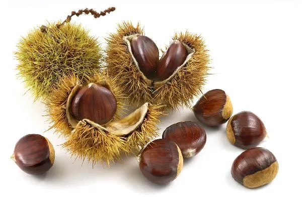 栗子对胃有好处吗插图