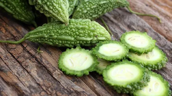 苦瓜有苦味的原因插图2