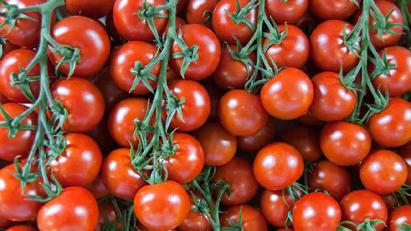 吃撑了吃什么水果助消化插图2