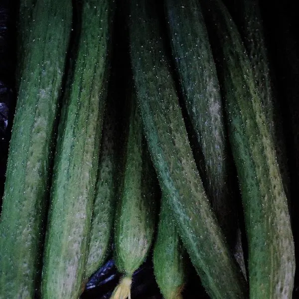 酸菜小笋炒什么好吃插图