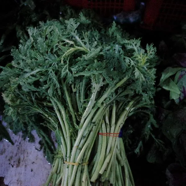 青菜的保存最佳方法和时间插图1