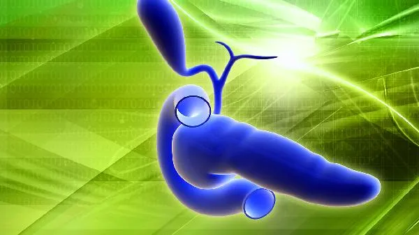 血、尿淀粉酶升高的意义是什么插图