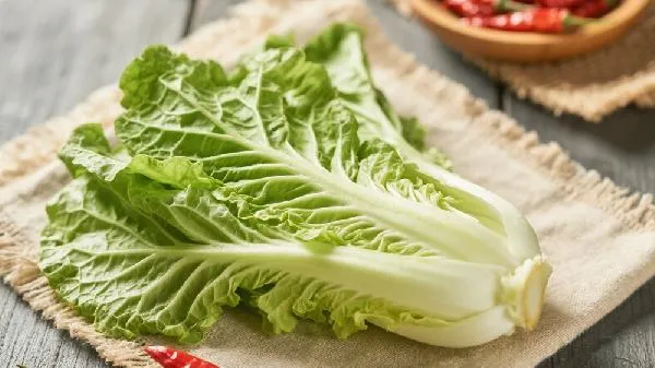 芥菜头不能和什么一起吃插图1