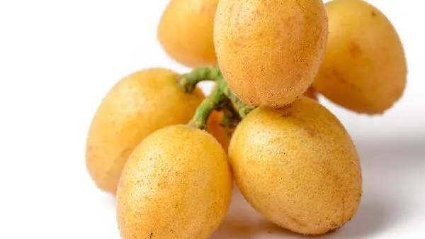 黄皮干泡水喝有什么功效 黄皮干泡蜂蜜的功效插图1